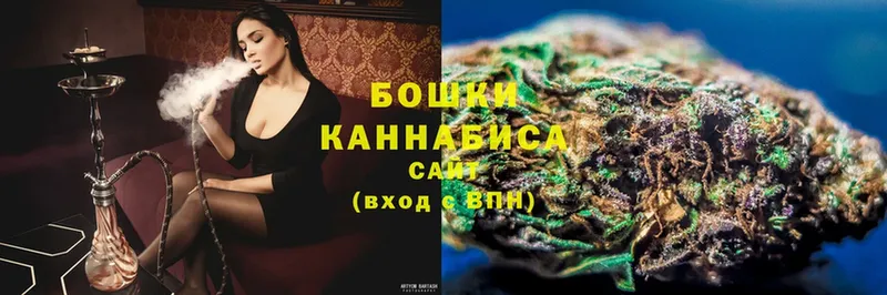 Канабис OG Kush  Кировград 